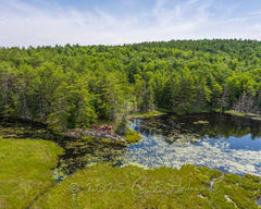 2025 Hike-A-Thon Photography by Carl Heilman, II