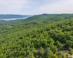 2025 Hike-A-Thon Photography by Carl Heilman, II