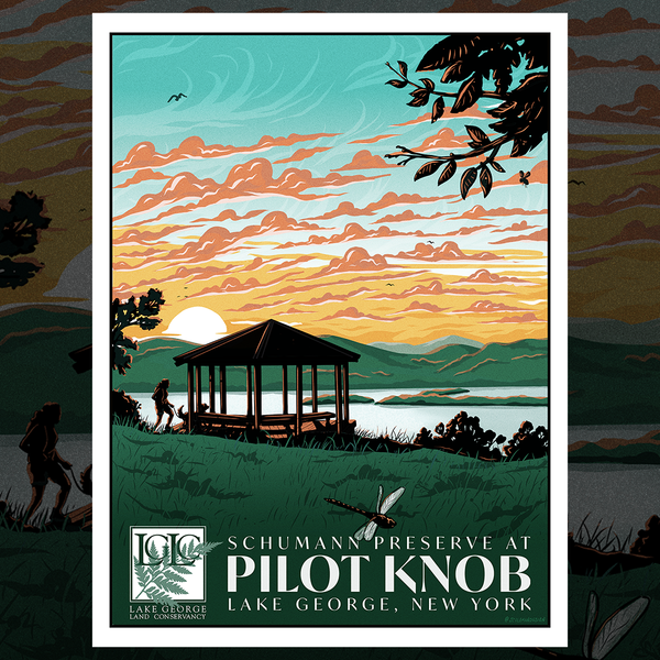 Pilot Knob Gazebo Poster – LGLC Store