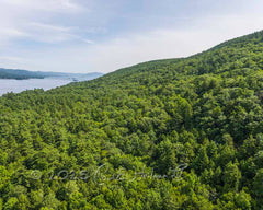 2025 Hike-A-Thon Photography by Carl Heilman, II