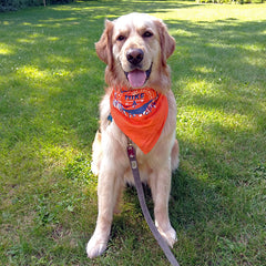 Hike-A-Thon Bandanas (multiple years)