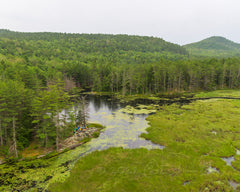 2022 Hike-A-Thon Photography by Carl Heilman, II