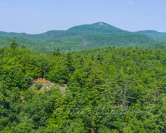 2023 Hike-A-Thon Photography by Carl Heilman, II