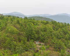 2022 Hike-A-Thon Photography by Carl Heilman, II