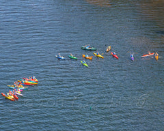 2017 Hike-A-Thon Photography by Carl Heilman, II