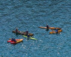 2018 Hike-A-Thon Photography by Carl Heilman, II