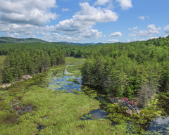 2021 Hike-A-Thon Photography by Carl Heilman, II