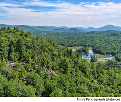 2016 Hike-A-Thon Photography by Carl Heilman, II