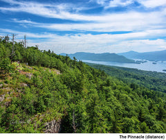 2016 Hike-A-Thon Photography by Carl Heilman, II