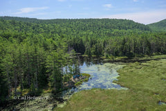 2026 Hike-A-Thon Photography by Carl Heilman, II