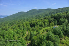 2026 Hike-A-Thon Photography by Carl Heilman, II